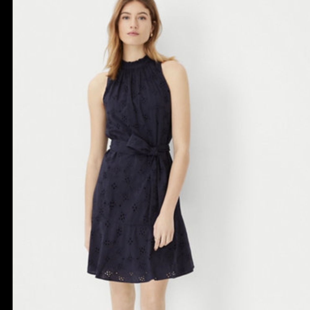 Ann Taylor eyelet mock neck dress